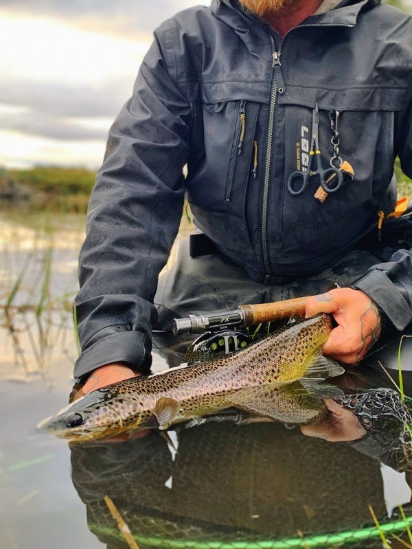Prognos Åre/Jämtland - vecka 24