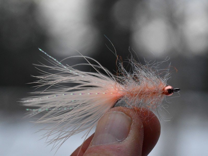 Flugval - Färg och storlek för vårfisket efter Havsöring