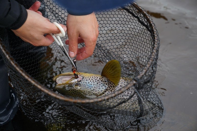10 Produkter som gör din fiskesommar bättre