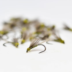 Low BWO
