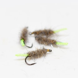 Grandmas Cased Caddis