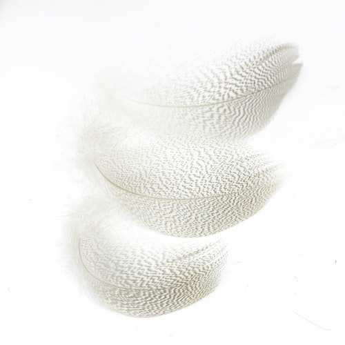 NTS Mallard Flank Feathers