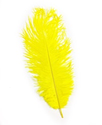 NATURE'S SPIRIT OSTRICH PLUME, 10"-12"