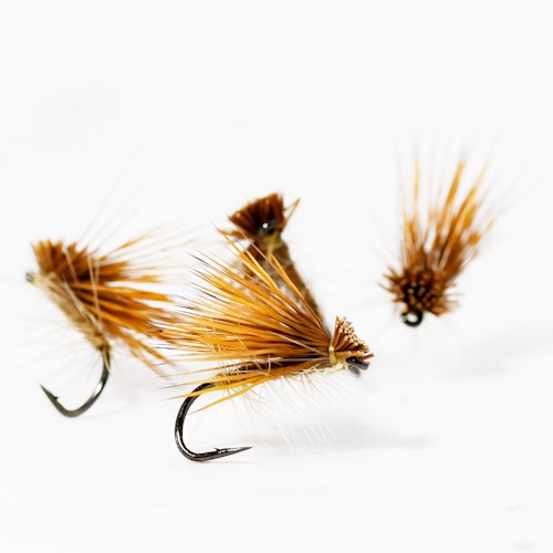 Elk Hair Caddis