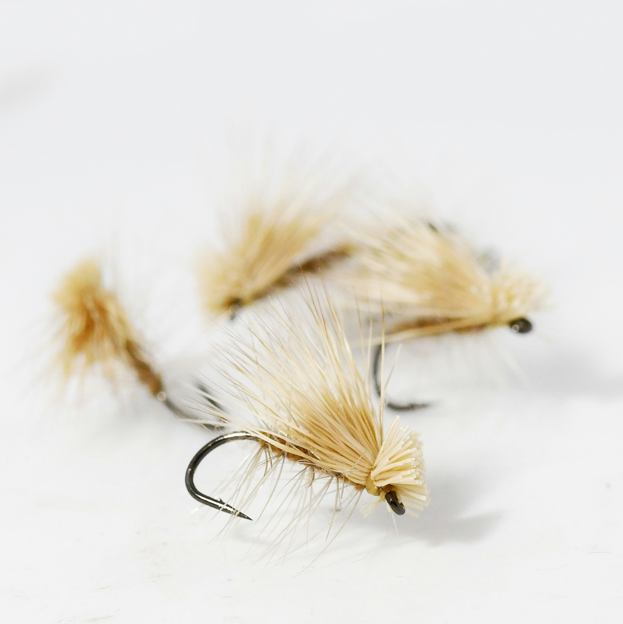 Elk Hair Caddis