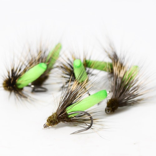 FC Caddis