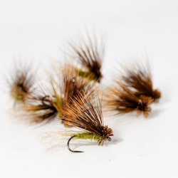 X-Caddis