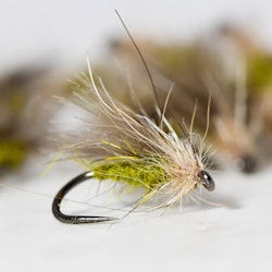 SCC Caddis