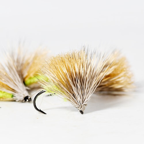 Indicator Caddis