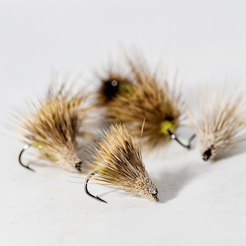 Streaking Caddis