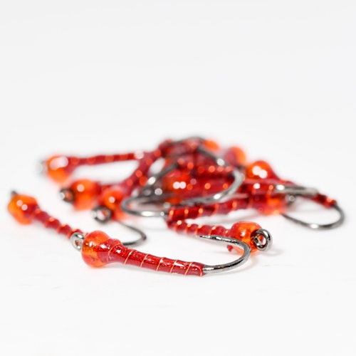 Bloodworm