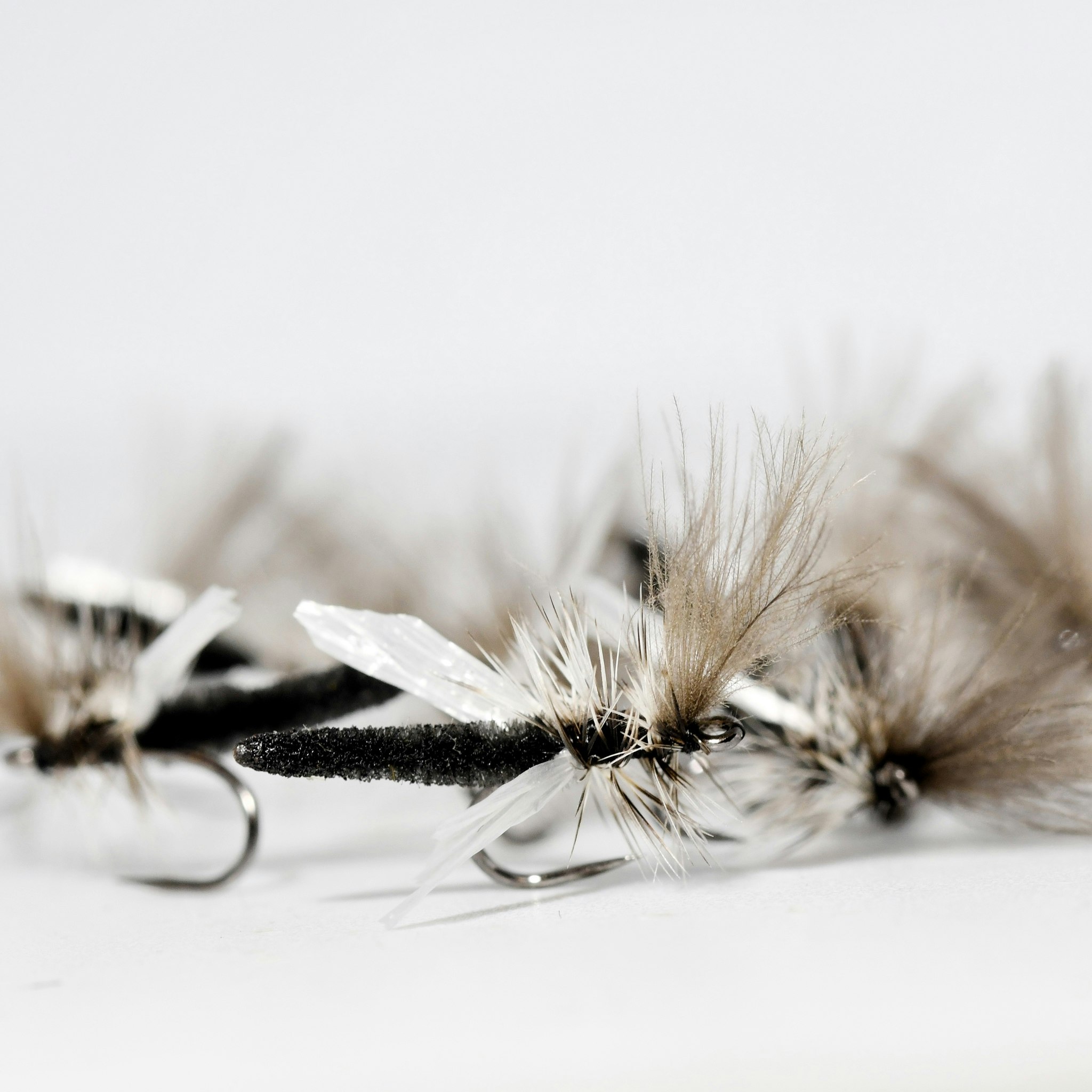 Crippled Palomino Midge