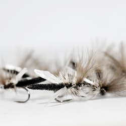 Crippled Palomino Midge