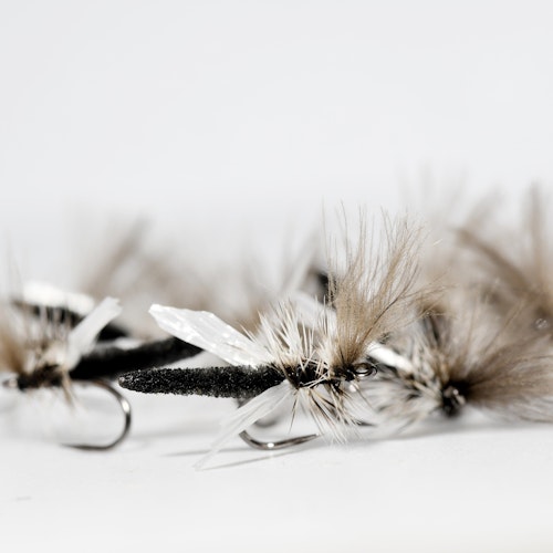 Crippled Palomino Midge