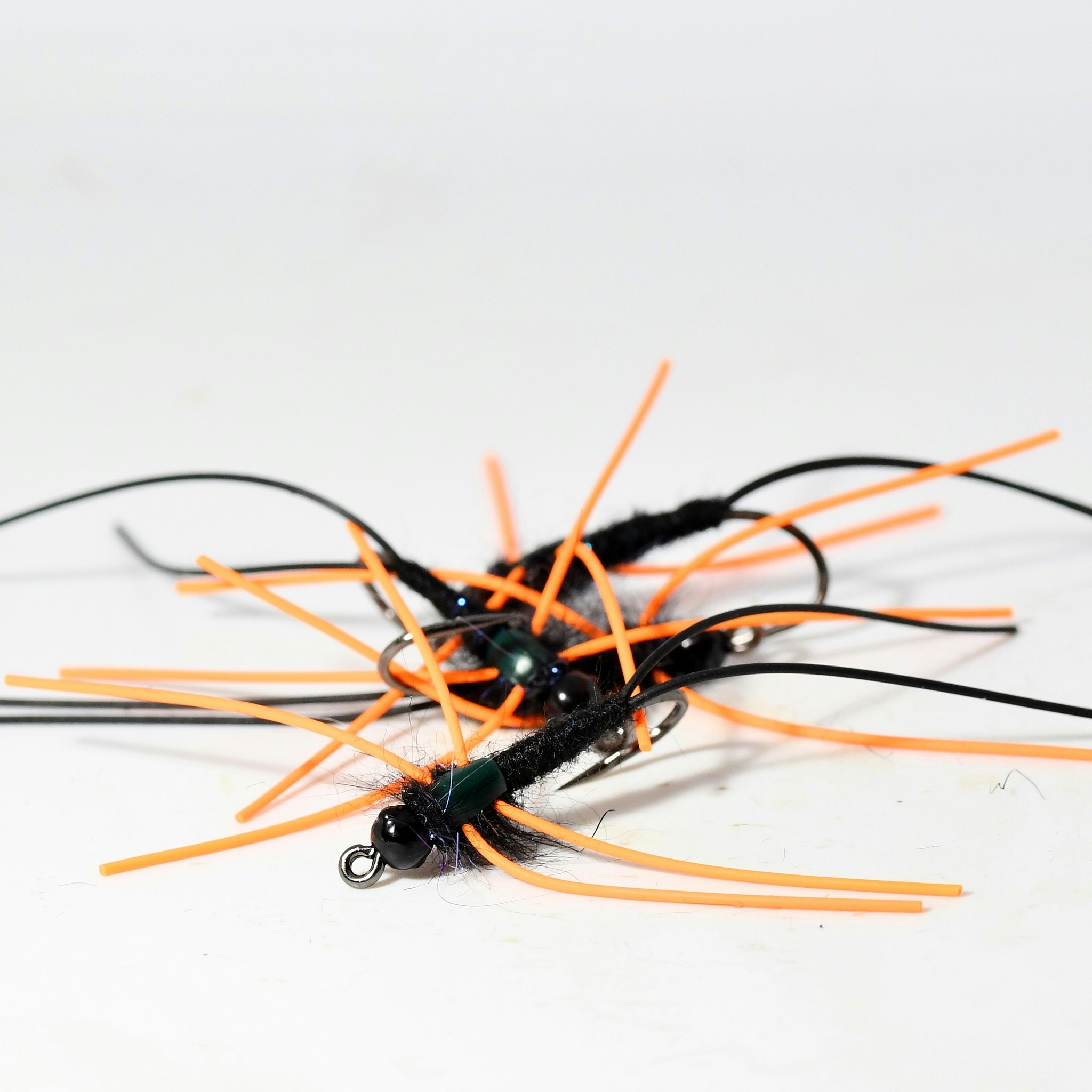 Black & Orange Nymph