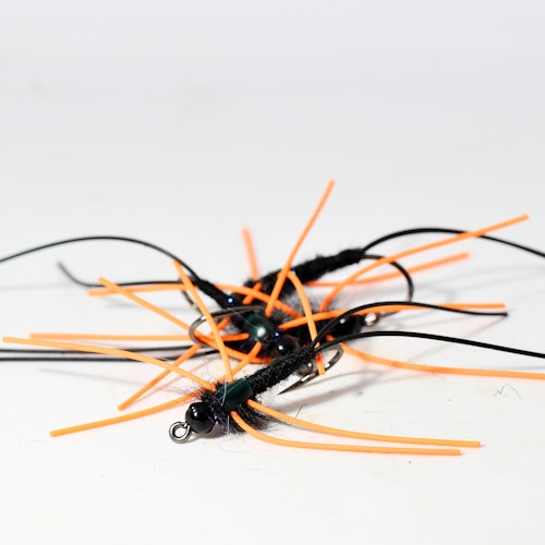 Black & Orange Nymph