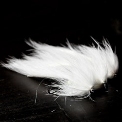 White Zonker
