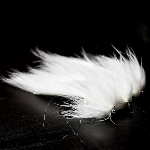 White Zonker