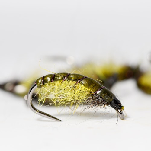 Czech Caddis