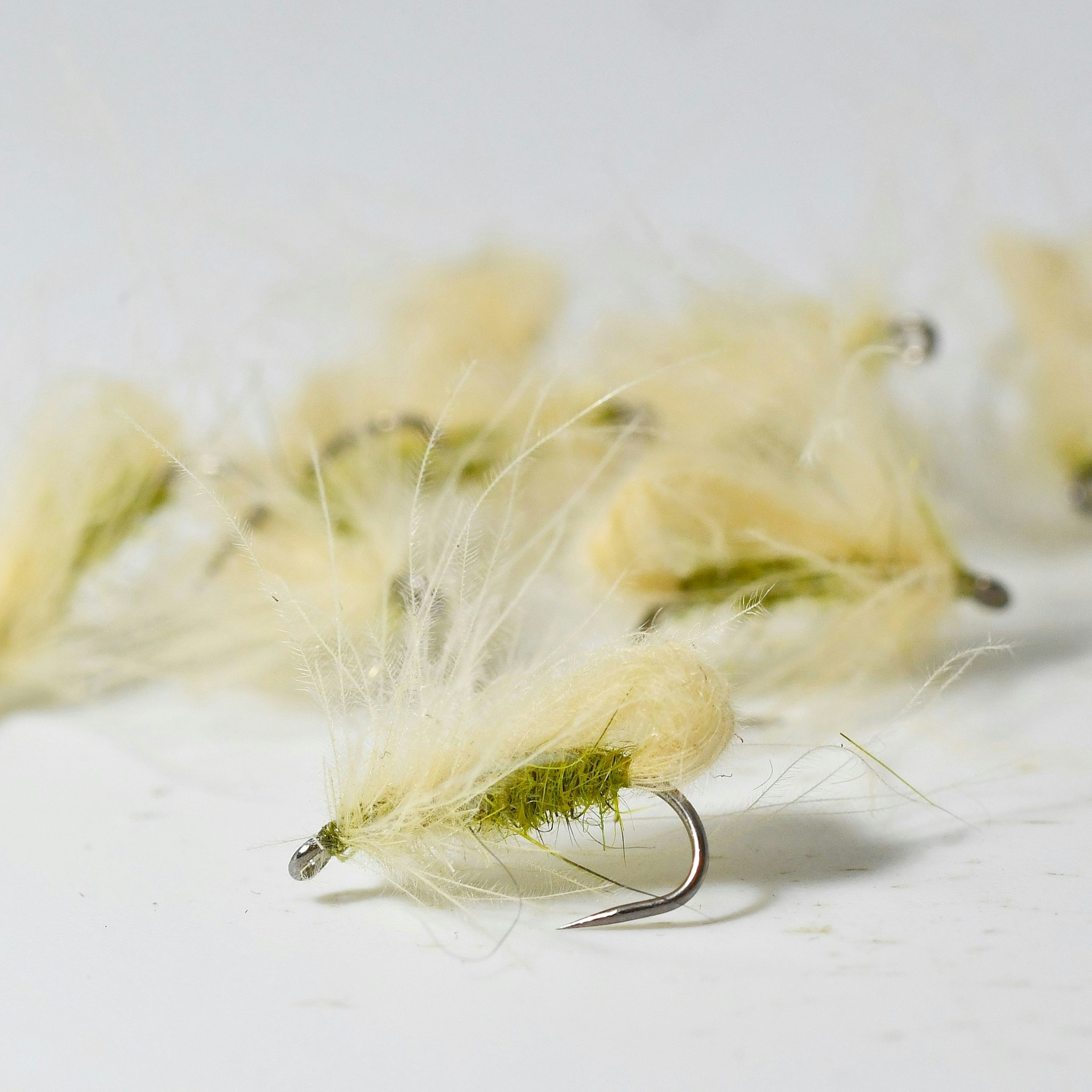 Bubble Caddis