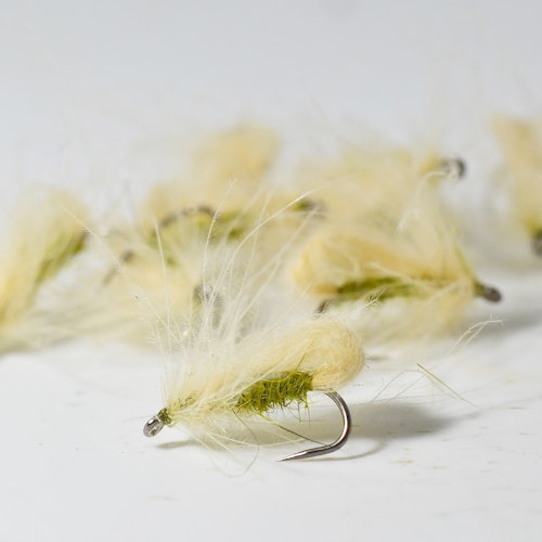 Bubble Caddis