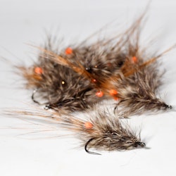 Scruffy Shrimp