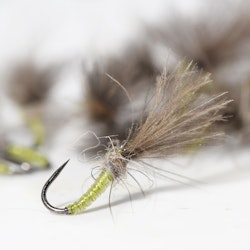 Baetis Shuttlecock