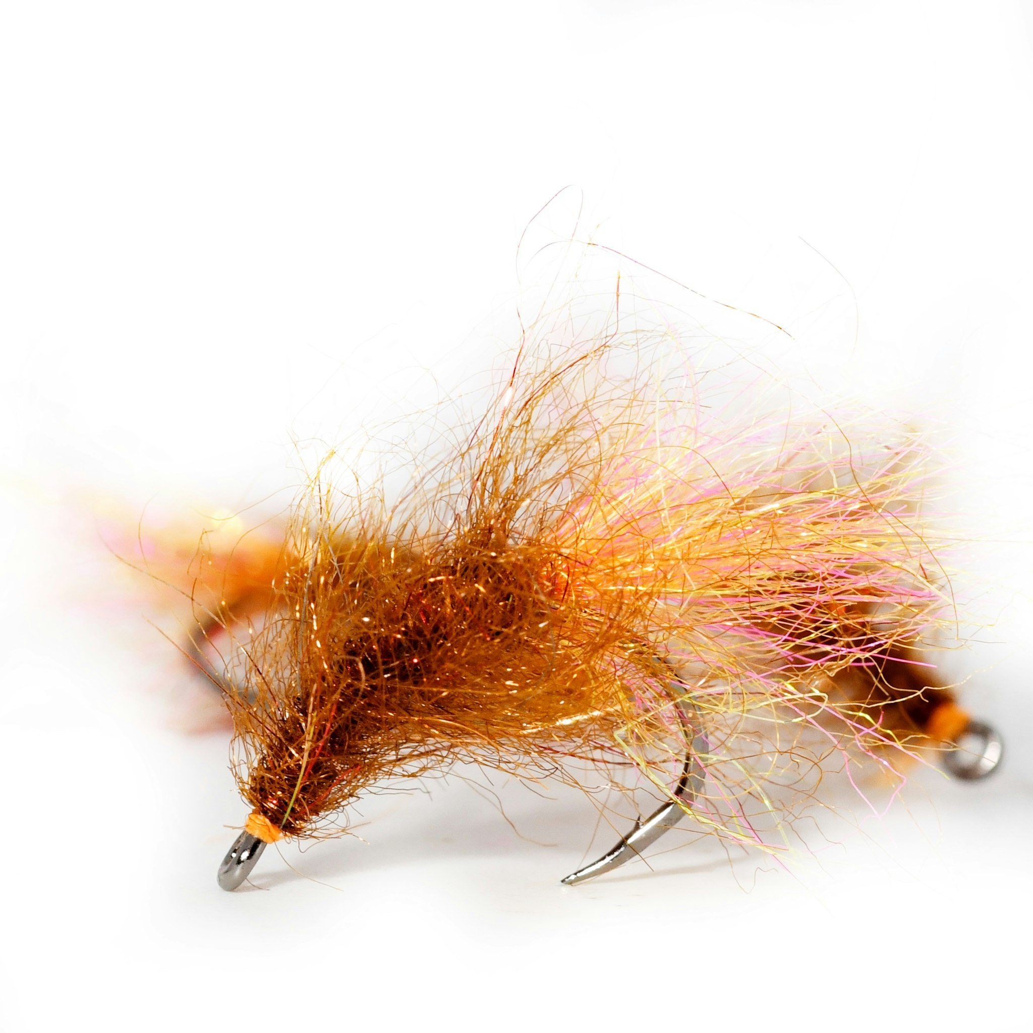 Rusty Gammarus