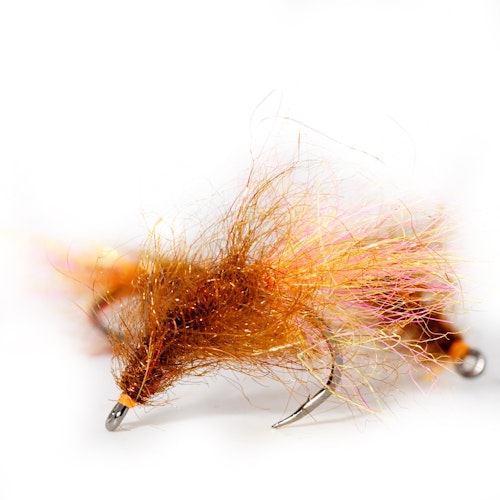 Rusty Gammarus
