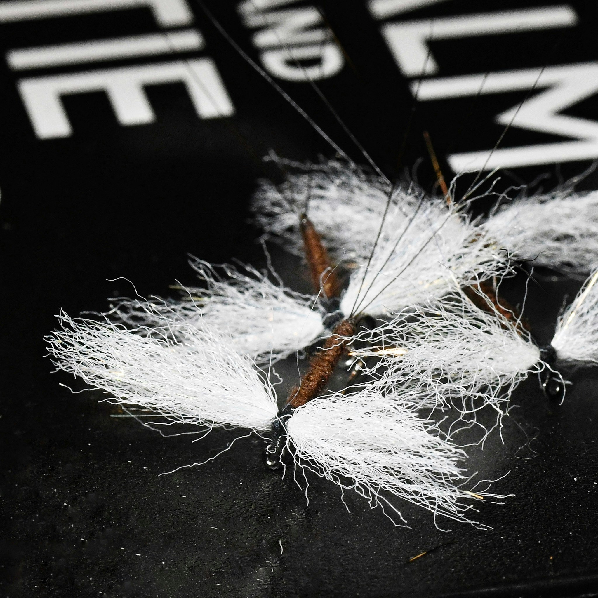 Vulgata Spent Spinner