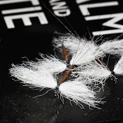 Vulgata Spent Spinner