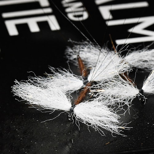 Vulgata Spent Spinner
