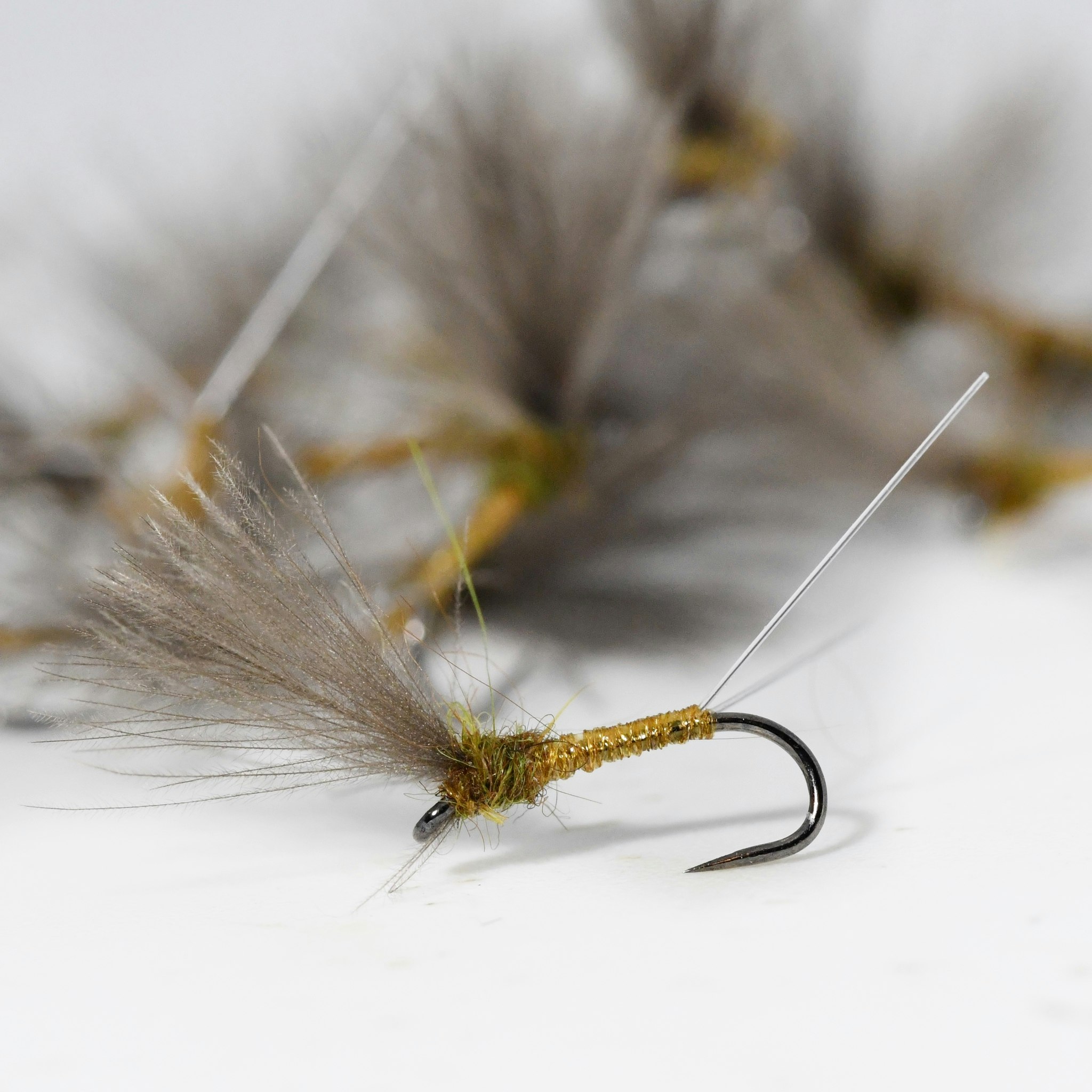 BQ Baetis