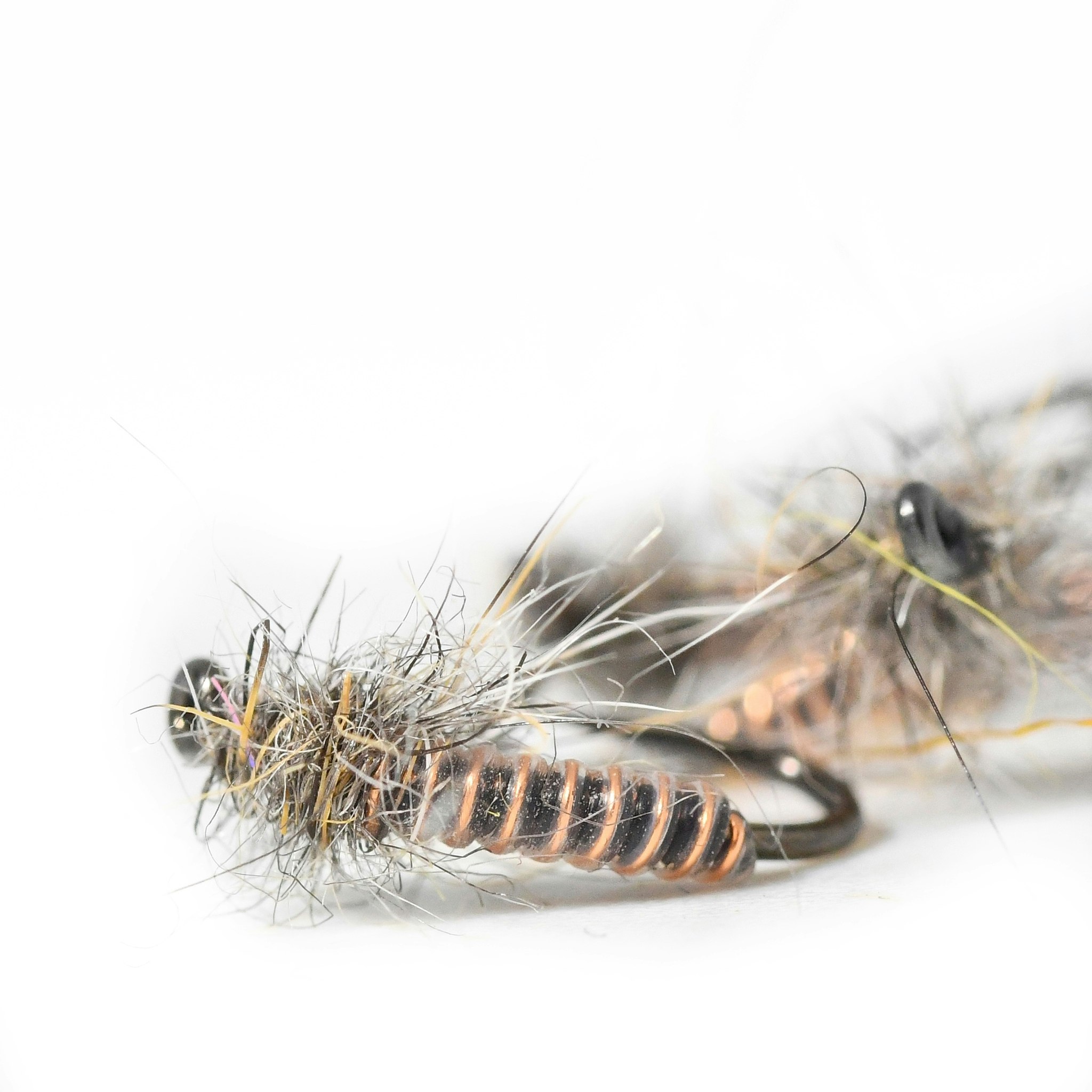 Copper Midge