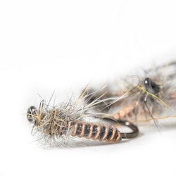 Copper Midge