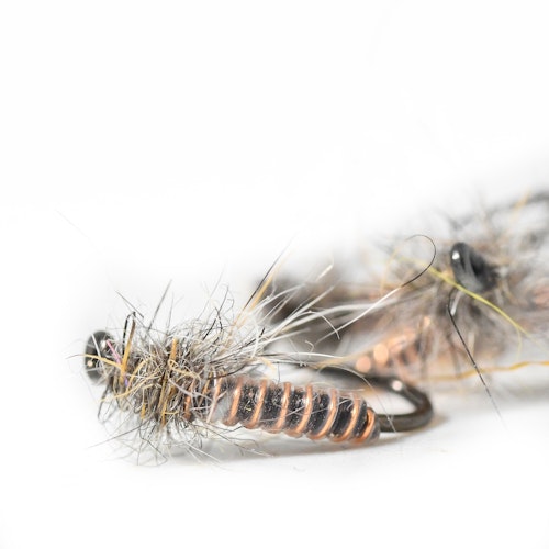 Copper Midge