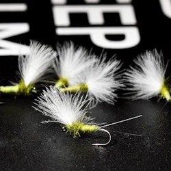 CDC Baetis