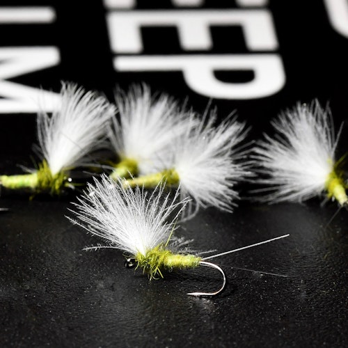 CDC Baetis