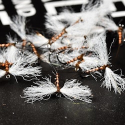 Brown Spent Spinner - Simslända