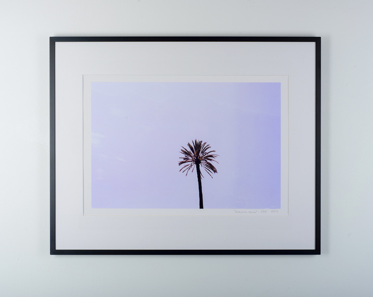 ”suburra palm” black frame