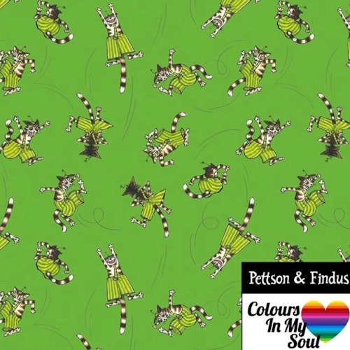 Pettson och Findus Findus hoppar Grön trikå