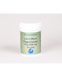 Lion's Mane 2100 mg 50 kapslar Örtspecialisten