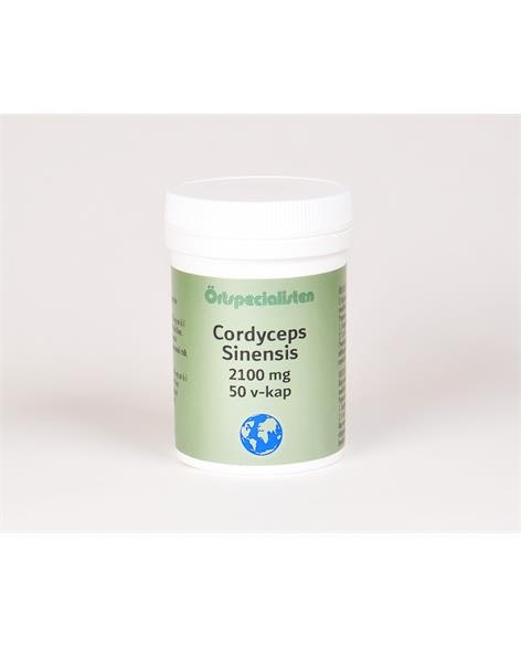 Cordyceps Sinensis 2100 mg 50 kapslar Örtspecialisten