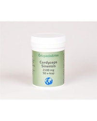 Cordyceps Sinensis 2100 mg 50 kapslar Örtspecialisten