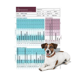 Hårmineralanalys Hund Inkl. 30 minuters genomgång