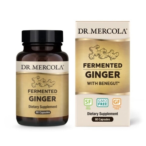 Fermented Ginger 60 kapslar Dr. Mercola