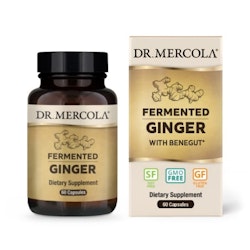 Fermented Ginger 60 kapslar Dr. Mercola