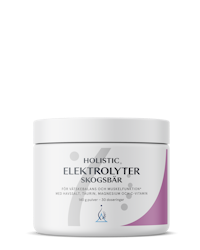 Elektrolyter Skogsbär 140g Holistic