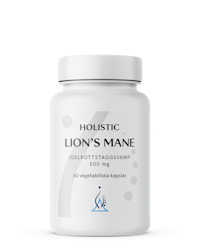 Lion's Mane 60 kapslar Holistic