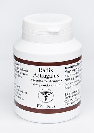 Radix Astragalus 60 kapslar EVP